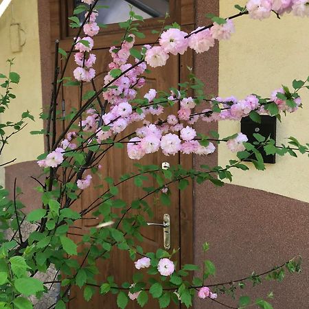 Lviv-Centre Apartments Gorodotska 44 외부 사진